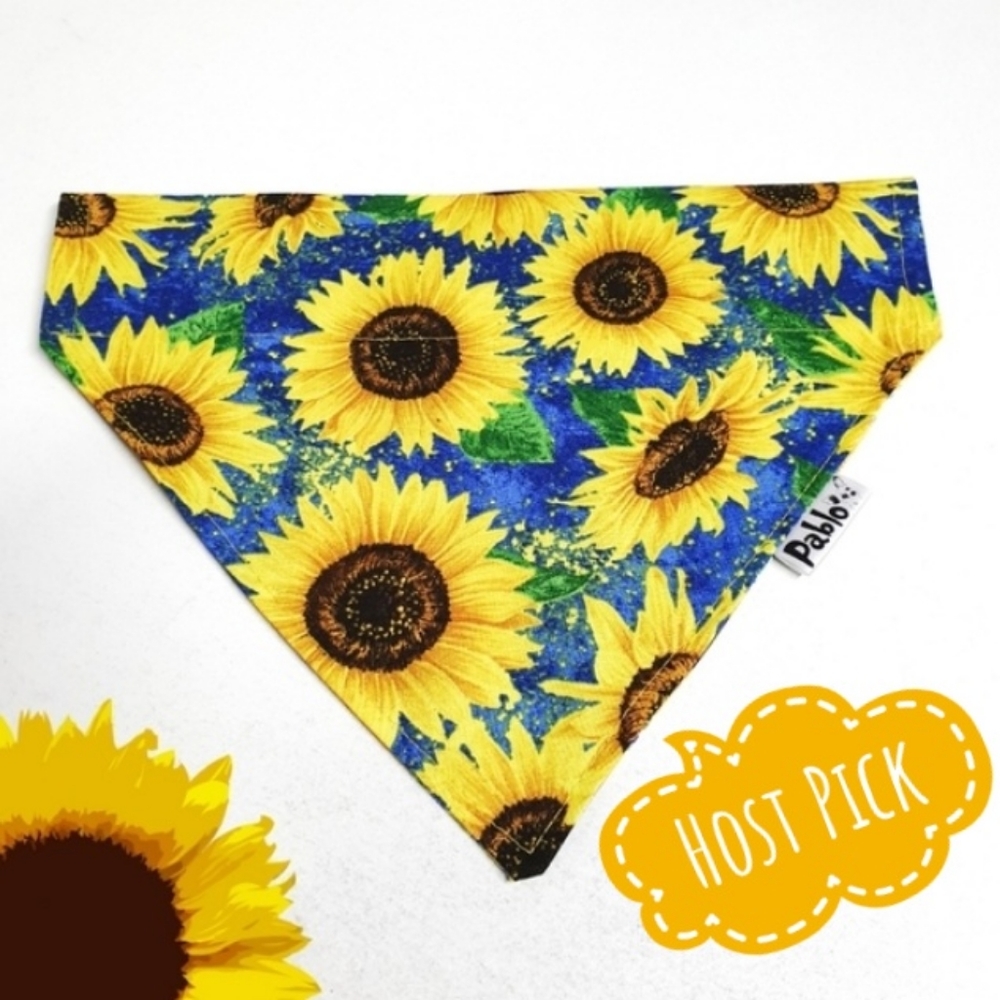 🐶 5 for $15 * Pablo Reversible Sun Flower Dog Bandana